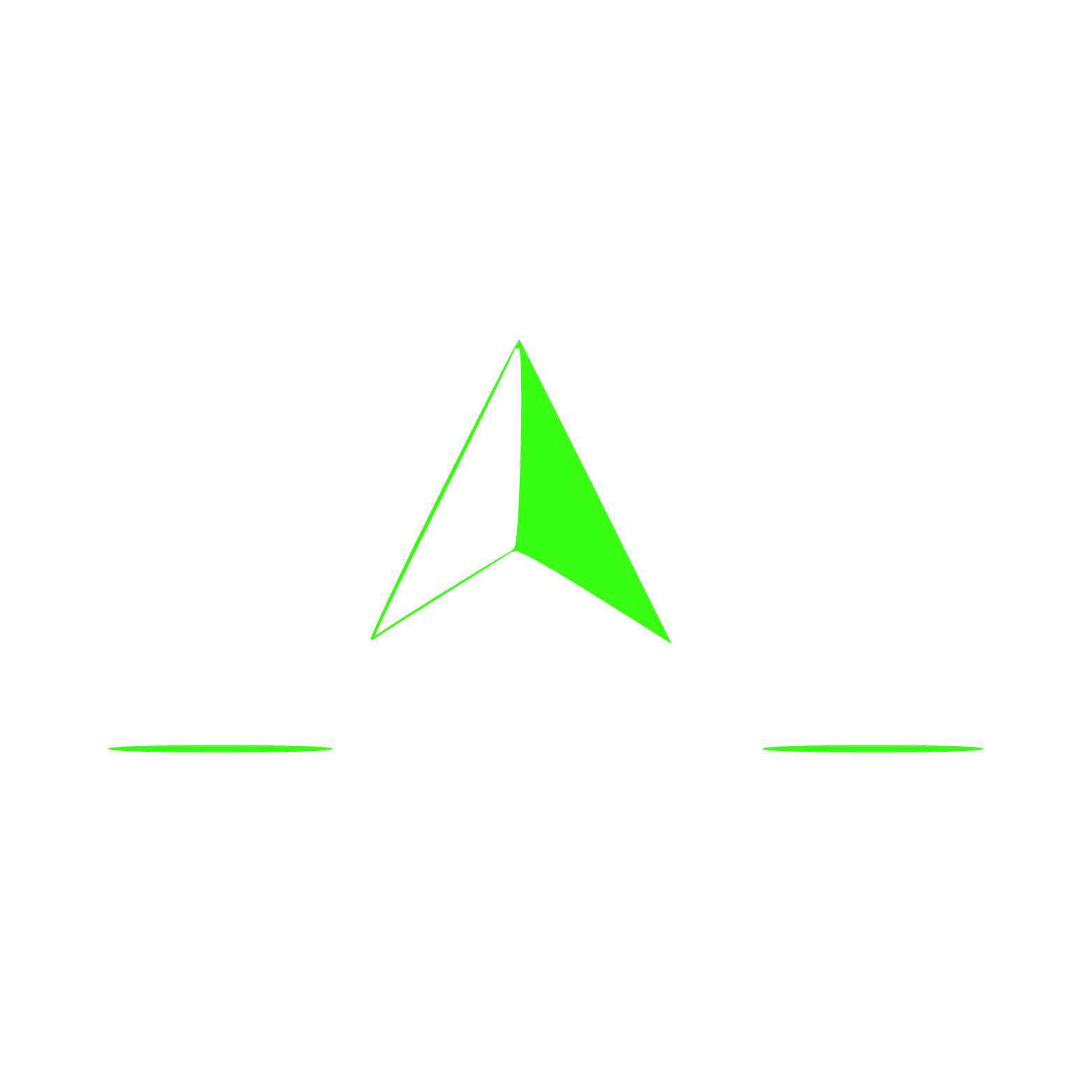 Zaid Chauhan 